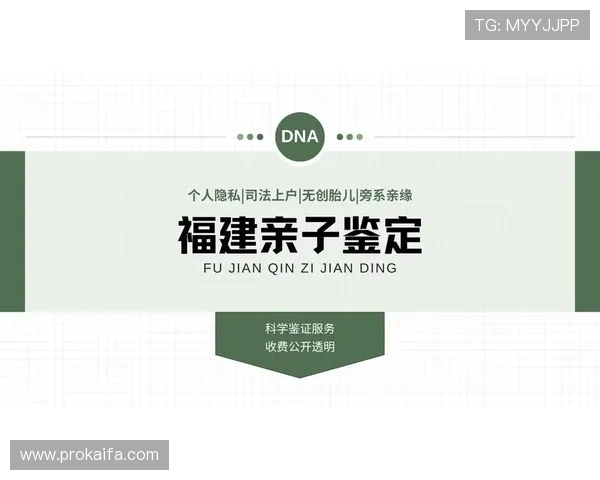 凯发娱乐娱乐官网入口注册流程详解指导新手玩家快速完成账号注册与登录